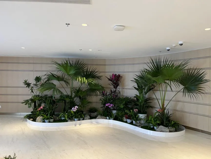 海曙植物出租服务好